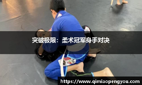 突破极限：柔术冠军身手对决